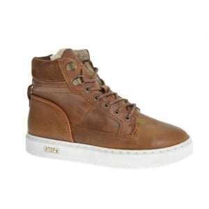 Gattino G2586