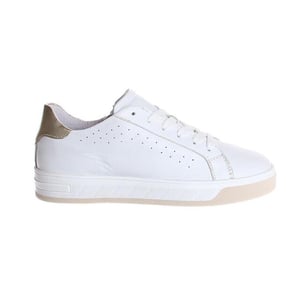 Gattino G1574
