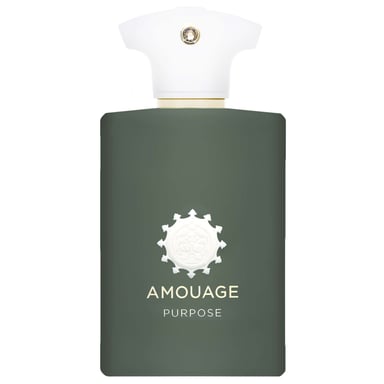 Amouage Purpose Man Eau de Parfum Spray - 100 ml Luxe geur voor mannen