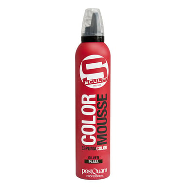 COLOR MOUSSE _ SILVER 300 ML.