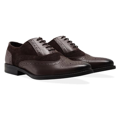 Redfoot Jay Brown