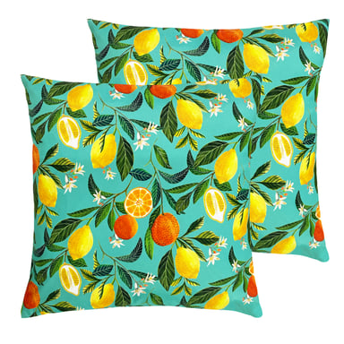 Oranjebloesem Buiten Kussens (Twin Pack)