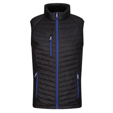 Regatta Herr Navigate Quiltad Hybrid Gilet (Svart/Ny Royal)