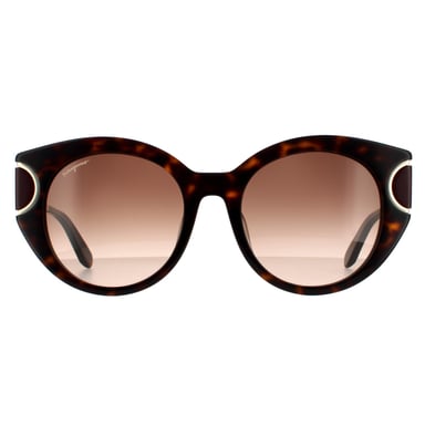 Salvatore Ferragamo Cat Eye Womens Tortoise Brown Gradient Sunglasses