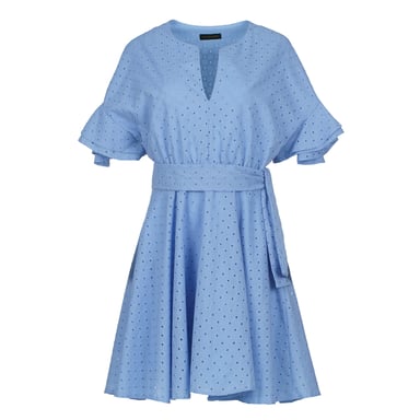 Sky Blue Embroidered Dress with Ruffle Sleeves