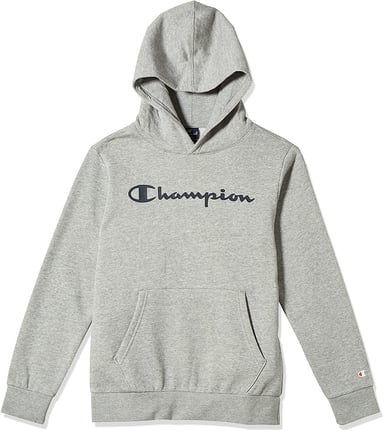Womens Champion Script Logo Hoody in Grey