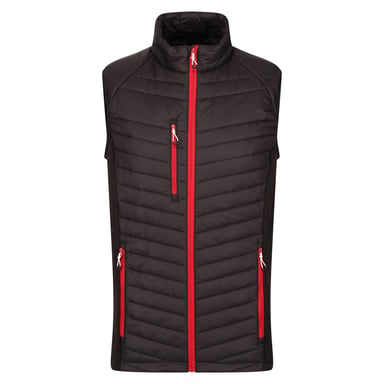 Regatta Mens Navigate Quilted Hybrid Gilet (Black/Classic Red)