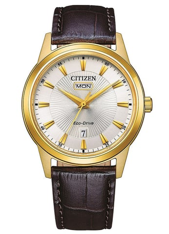 Citizen Men's Brown Watch AW0102-13AE