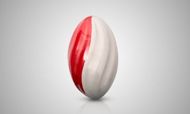 Soft Rugby Ball 8 inch