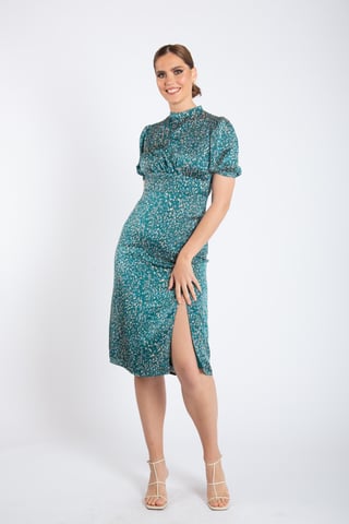 Animal Printed High Neck Midi Dress
