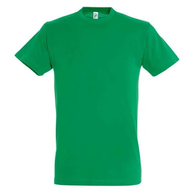 SOLS Unisex Adult Regent T-Shirt (Kelly Green)