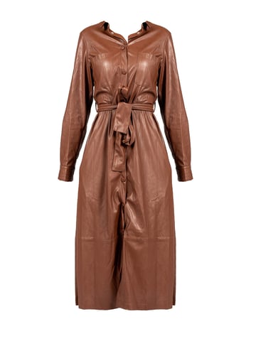 Pinko Dress Maris Woman's Brown