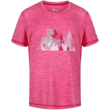 Regatta Childrens/Kids Alvarado IV Graphic Print T-Shirt