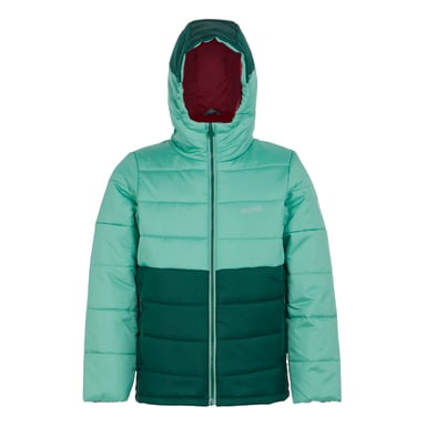 Regatta Childrens/Kids Lofthouse VIII Insulated Jacket (Dusty Green/Rainforest)