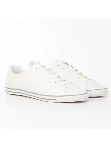 Calvin Klein men's sneakers (Authentic)