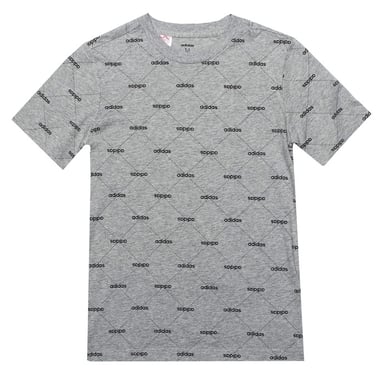 Boy's adidas Junior Core Favourite T-Shirt in Grey