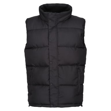 Regatta Mens Northdale Insulated Gilet (Black)