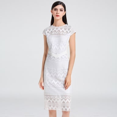 Tailor Cap Sleeves Lace Dress