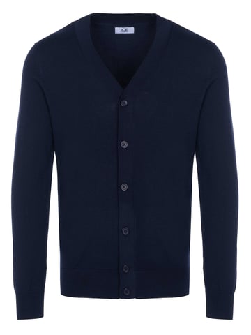 Iceberg pullover