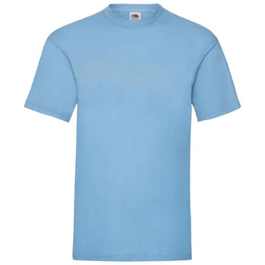 Fruit Of The Loom Mens Valueweight T-Shirt (Sky)