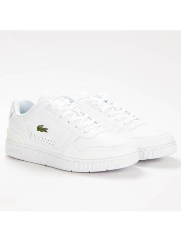 Lacoste sports shoes