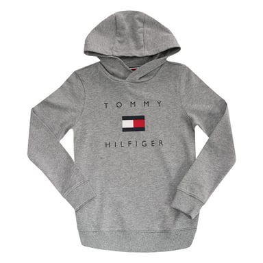 Boy's Tommy Hilfiger Infant Chest Logo Hoody in Grey Heather
