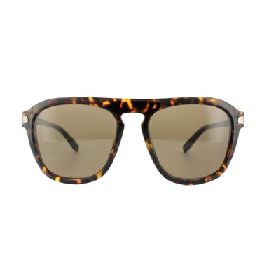 Salvatore Ferragamo Sunglasses SF786S 214 Havana Brown