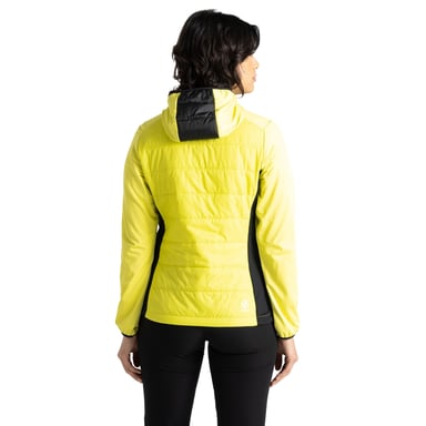 Dare 2B Womens/Ladies Ascending Hybrid Jacket (Yellow Plum/White)