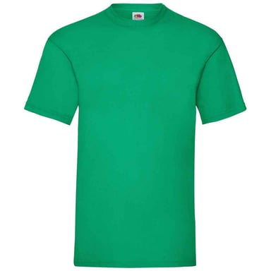 Fruit Of The Loom Mens Valueweight T-Shirt (Kelly Green)