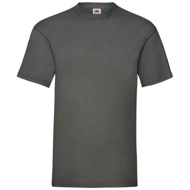 Fruit of the Loom Mens Valueweight T-Shirt (Light Graphite)