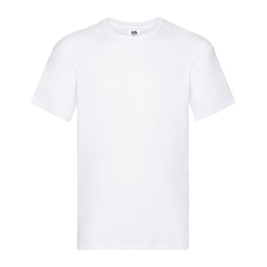 Fruit of the Loom Mens Original Heather T-Shirt (White)