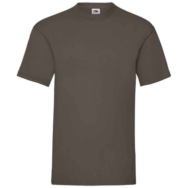 Fruit of the Loom Mens Valueweight T-Shirt (Chocolate)