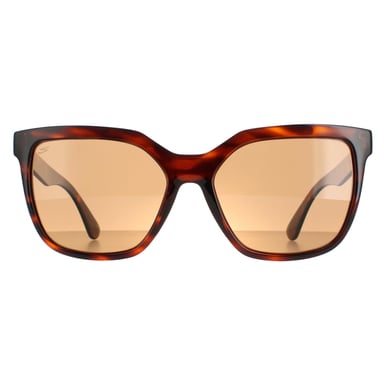 Serengeti Square Womens Shiny Tortoise Saturn Polarized Drivers Wakota