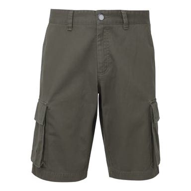 Asquith & Fox Mens Cargo Shorts (Slate)