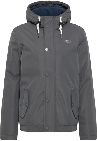 ICEBOUND Winter jacket Men stone grey