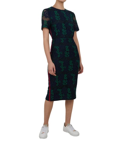 Ted Baker Zinniaa Lace Pencil Midi Skirt, Navy