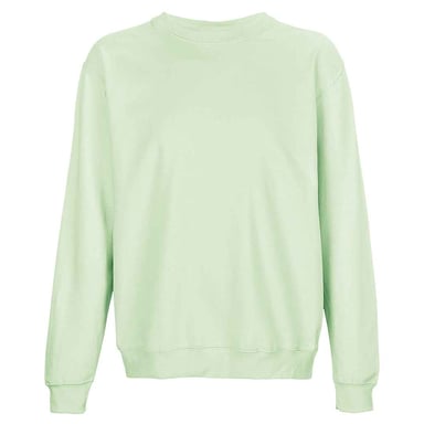 SOLS Unisex Adult Columbia Crew Neck Sweatshirt (Creamy Green)