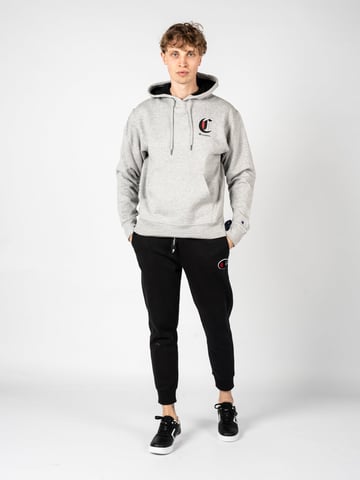 Champion Sweatshirt Hoodie Men's Grey