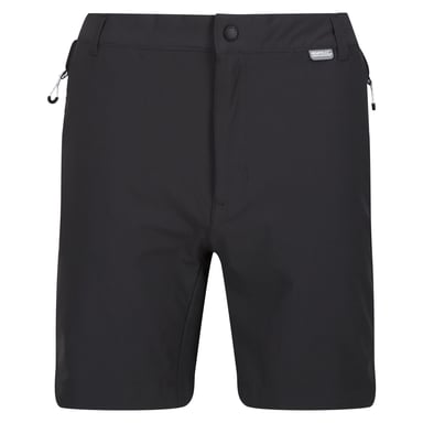 Regatta Mens Mountain II Shorts (Ash/Black)