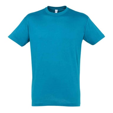 SOLS Unisex Adult Regent T-Shirt (Aqua)