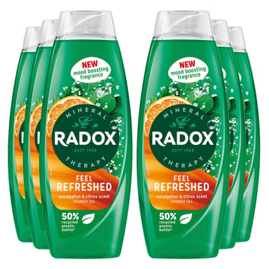 Radox Shower Gel Feel Refreshed With Eucalyptus & Citrus Scent 675 ml, 6 Pack