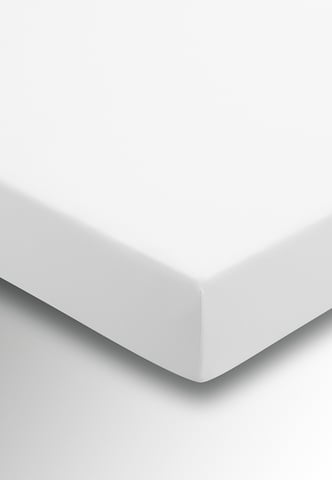 Plain Dye Fitted Sheet