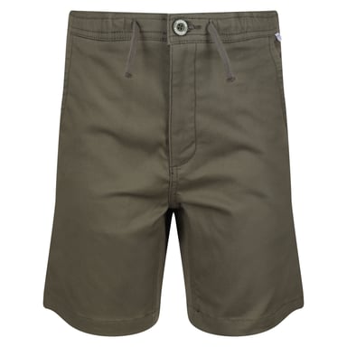 Regatta Childrens/Kids Alber Ottoman Shorts (Grape Leaf)