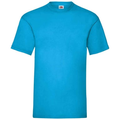 Fruit Of The Loom Mens Valueweight T-Shirt (Azure)