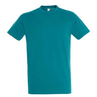SOLS Unisex Adult Regent T-Shirt (Duck Blue)