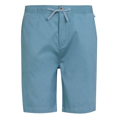 Regatta Mens Aldan Chino Shorts (Coronet Blue)