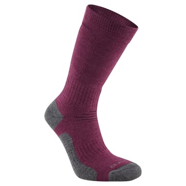 Craghoppers Unisex Vuxen Trek Merinoullstrumpor (Wildberry Purple)
