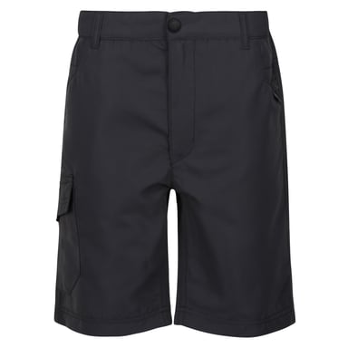 Regatta Childrens/Kids Sorcer II Shorts (Seal Grey)