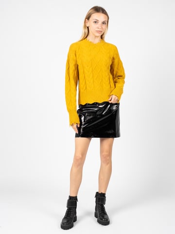 Pinko Skirt The Mall Woman's Black