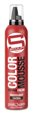 COLOR MOUSSE _ MAHOGANY 300 ML.